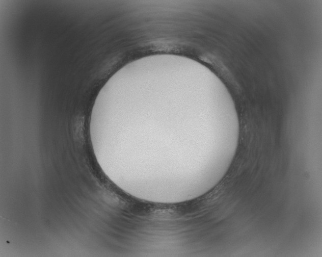 X0000075370066200610061823