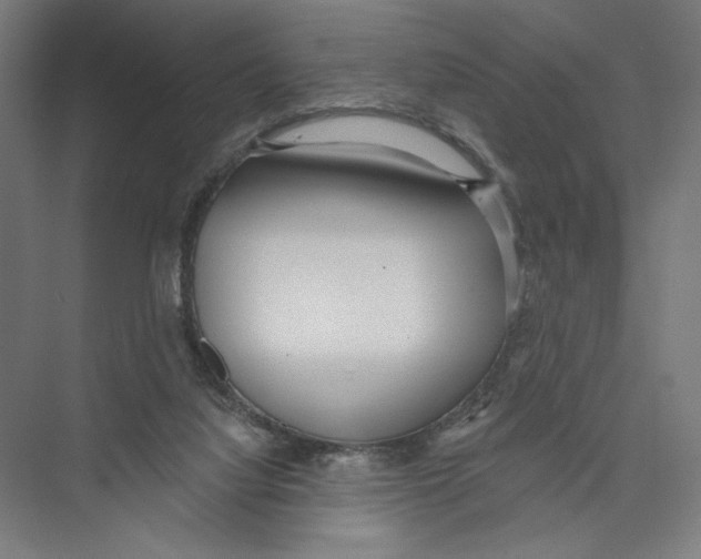 X0000075370068200610061824