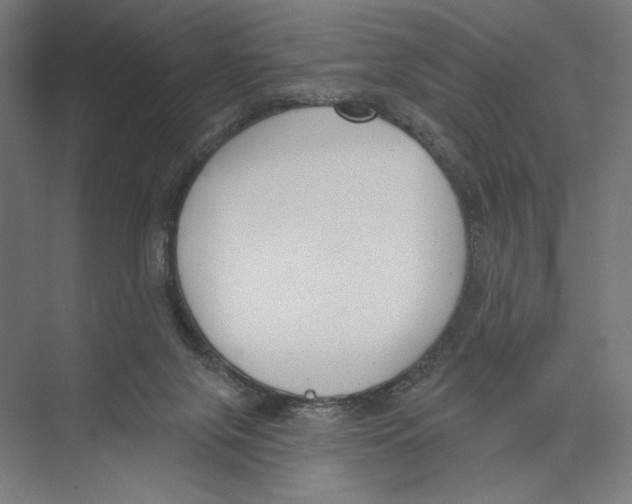 X0000075370071200610061824
