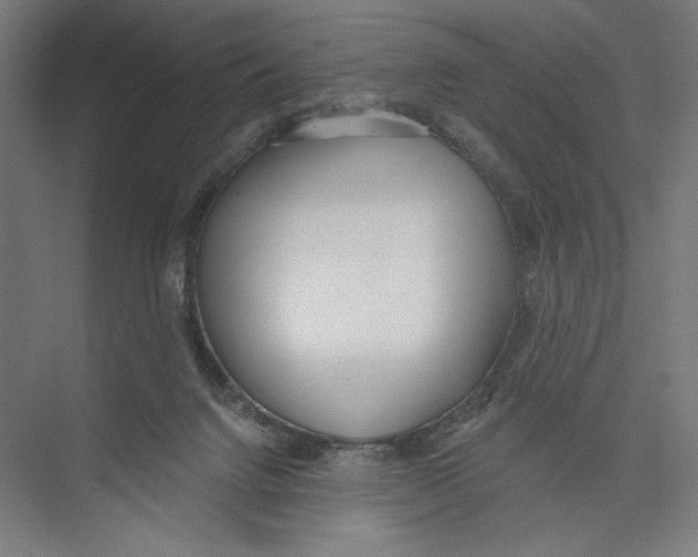 X0000075370072200610061824