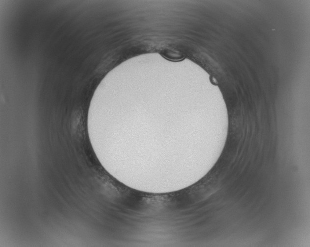 X0000075370079200610061824