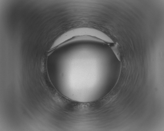 X0000075370080200610061824