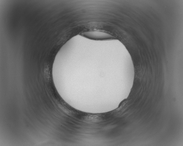 X0000075370086200610061824