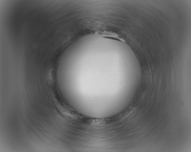 X0000075370088200610061824