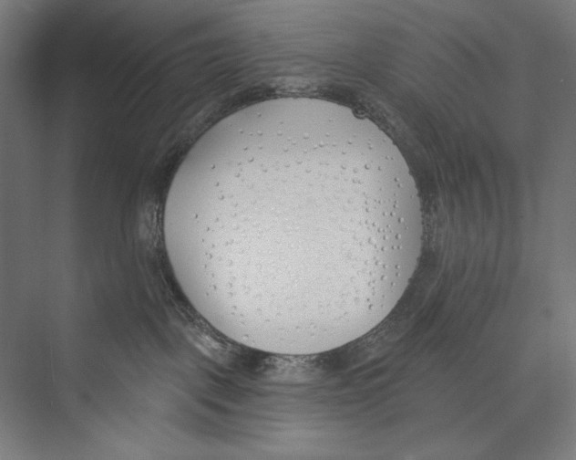 X0000075370093200610061824