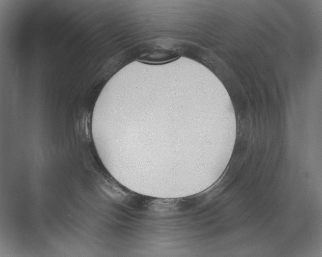 X0000075370094200610061824