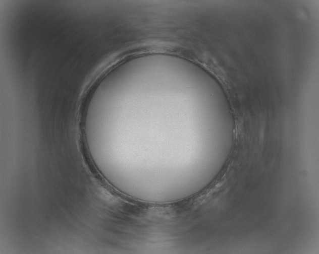 X0000075370101200610061823