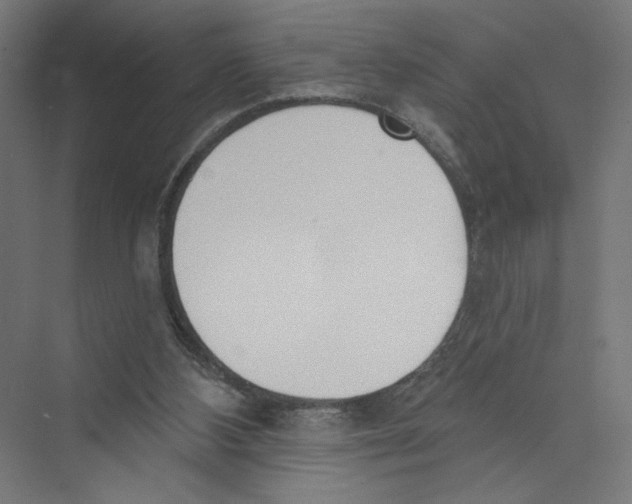 X0000075370108200610061823