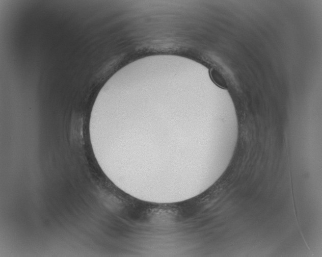 X0000075370115200610061823