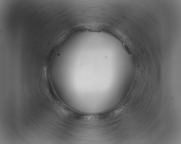 X0000075370117200610061823