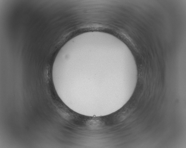X0000075370119200610061823