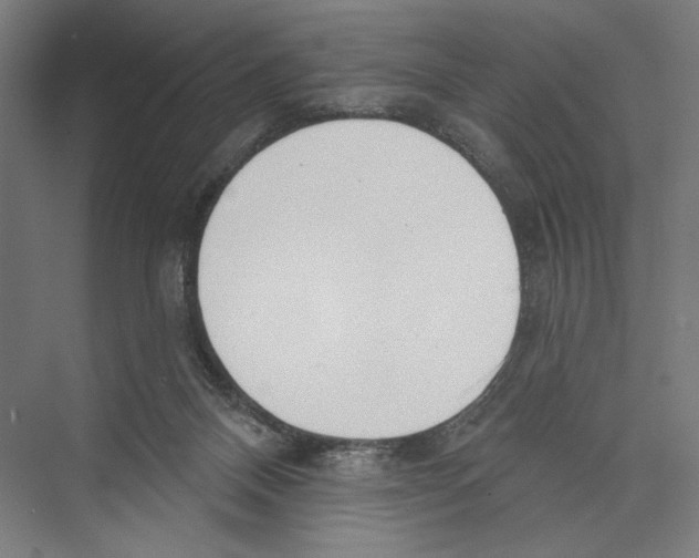 X0000075370120200610061823