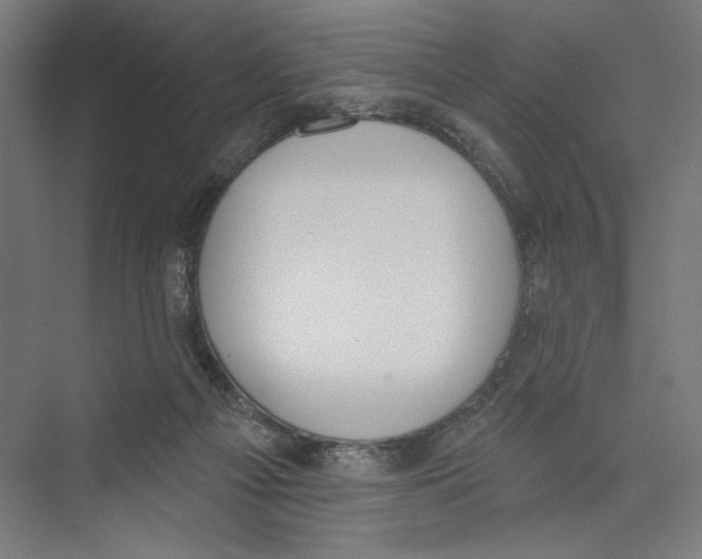 X0000075370121200610061823