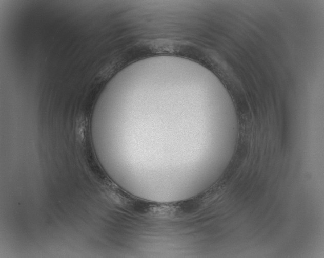 X0000075370125200610061823