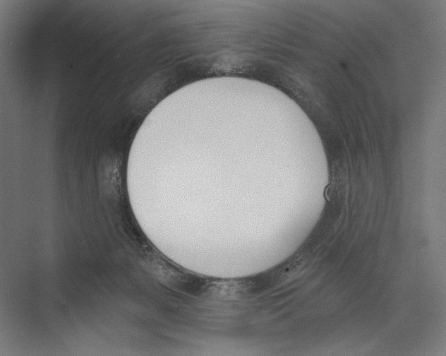 X0000075370127200610061823