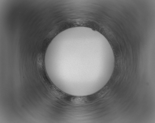 X0000075370129200610061823