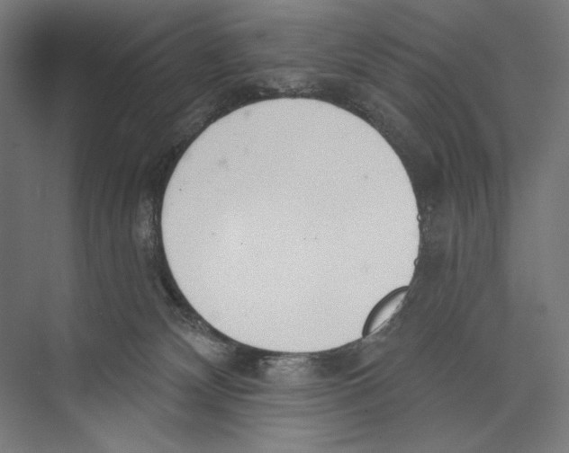 X0000075370132200610061823
