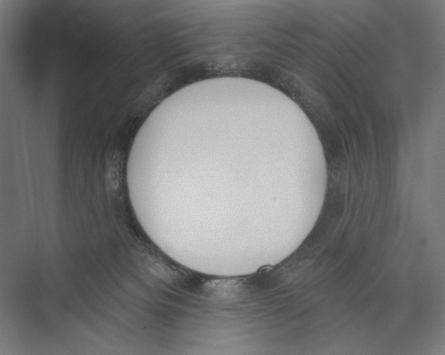 X0000075370133200610061823