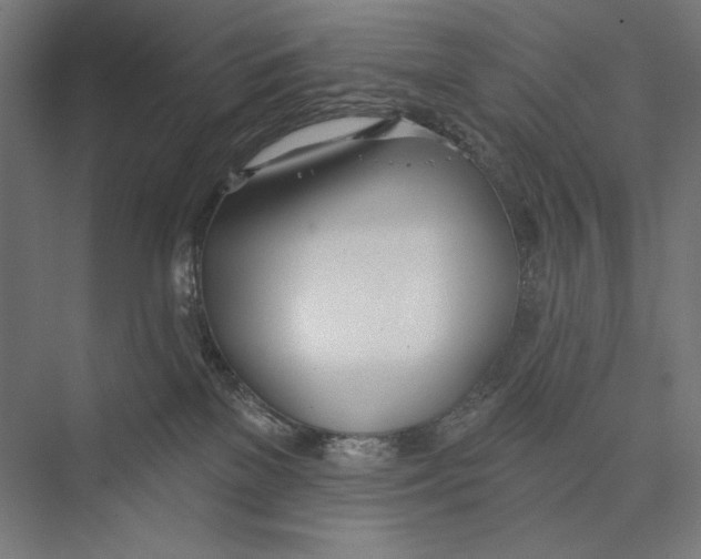 X0000075370137200610061822