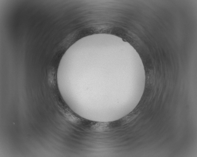 X0000075370138200610061822