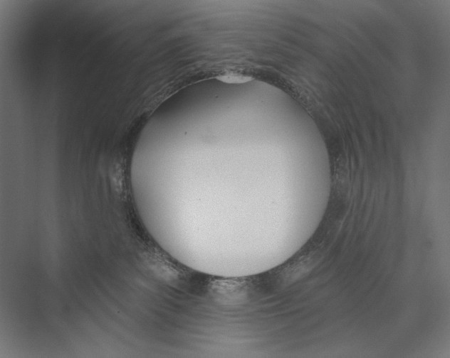 X0000075370139200610061822