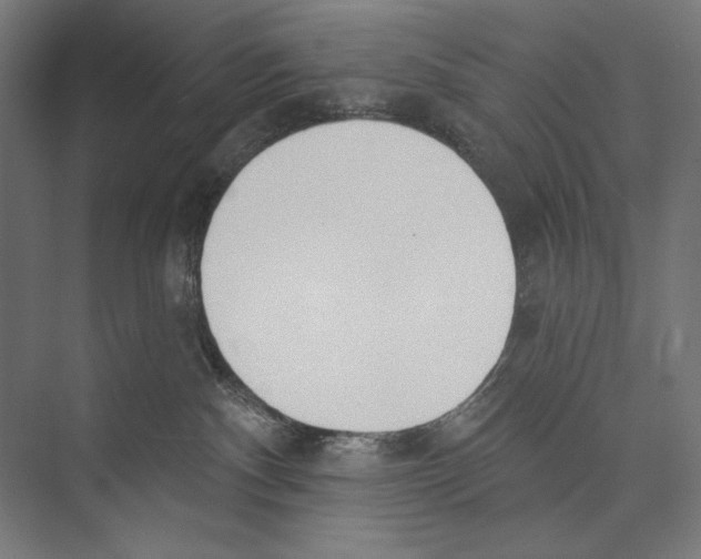 X0000075370140200610061822
