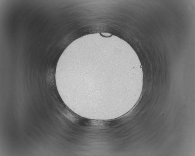 X0000075370144200610061822