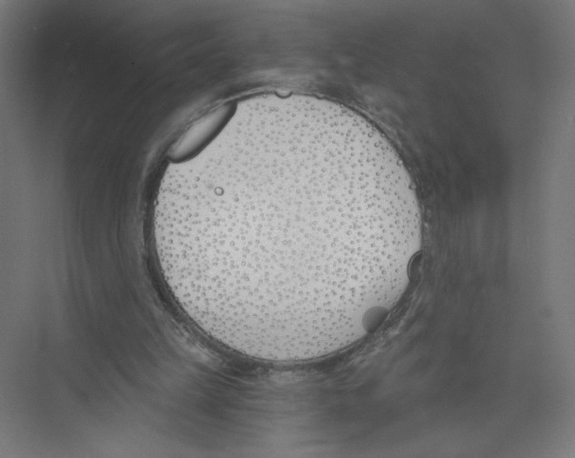X0000075370149200610061822