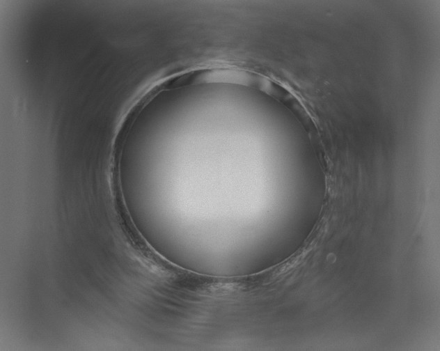 X0000075370152200610061822