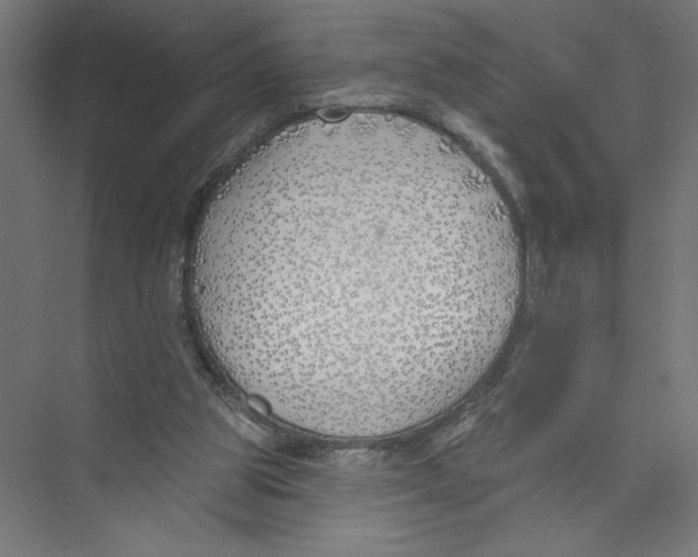 X0000075370153200610061822