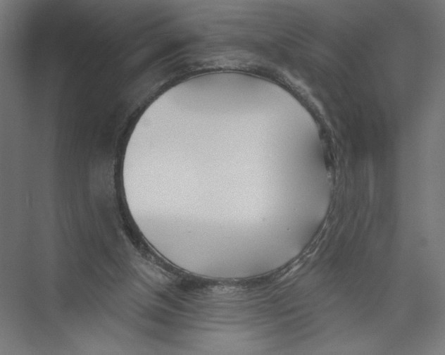 X0000075370154200610061822