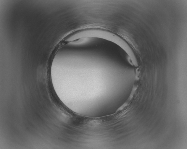 X0000075370156200610061822