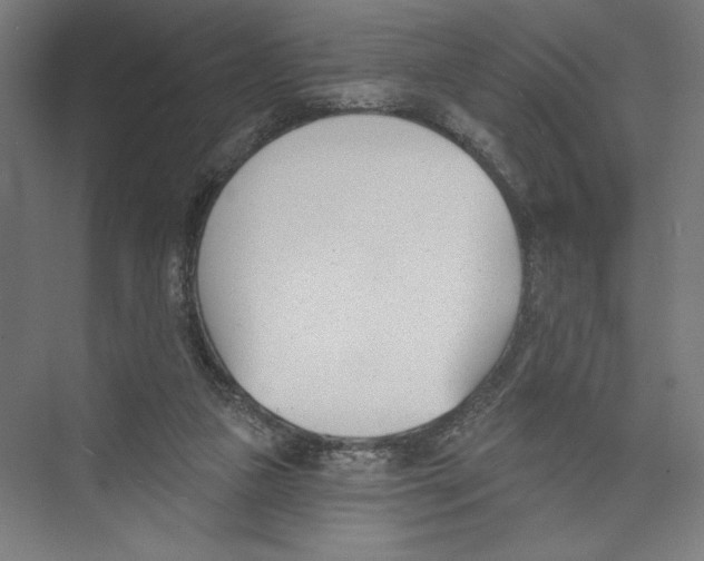 X0000075370161200610061822