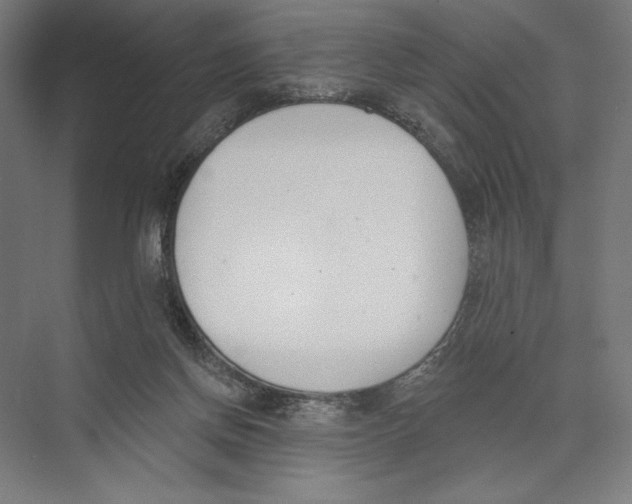 X0000075370166200610061822