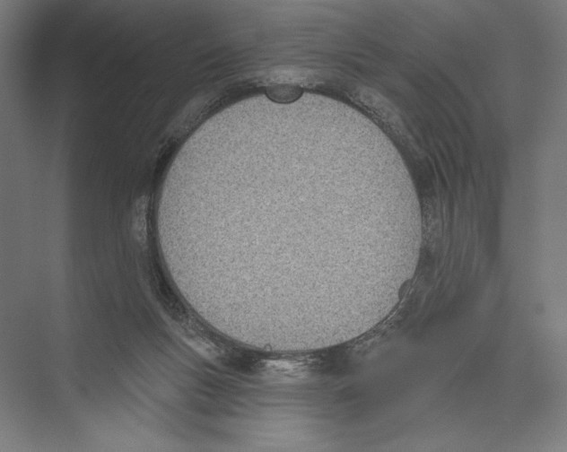 X0000075370167200610061822