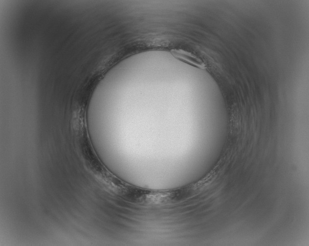 X0000075370172200610061822