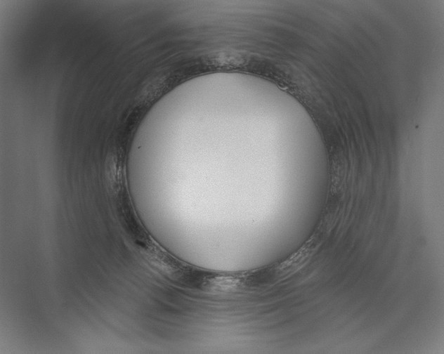 X0000075370176200610061822