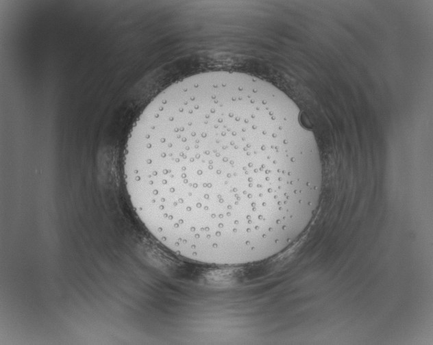 X0000075370178200610061822