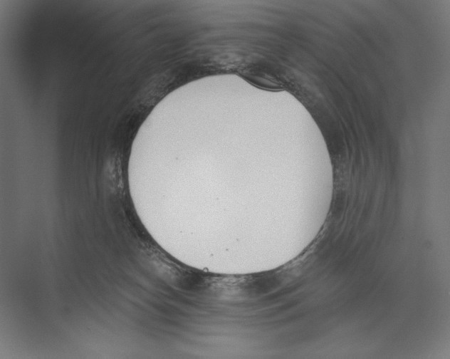 X0000075370182200610061822