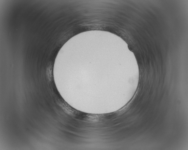 X0000075370190200610061822