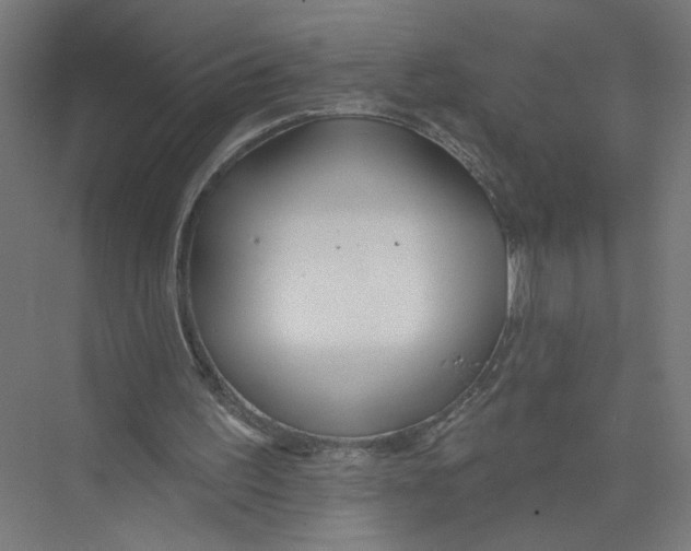 X0000075370195200610061822