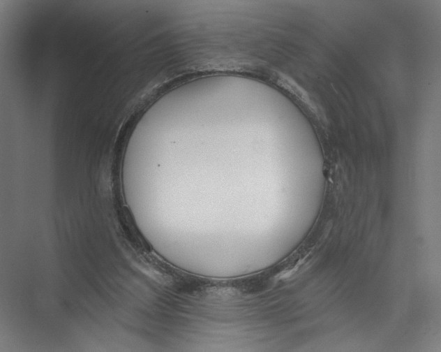X0000075370203200610061821
