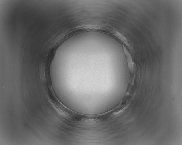 X0000075370205200610061821