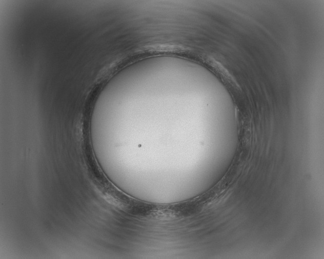 X0000075370207200610061821