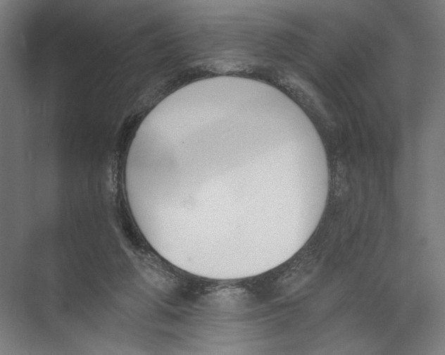 X0000075370210200610061821