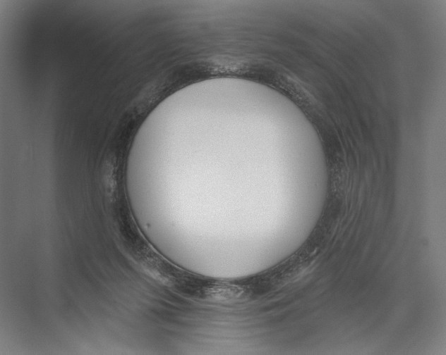 X0000075370215200610061821