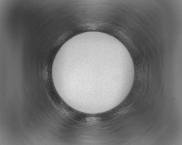 X0000075370216200610061821