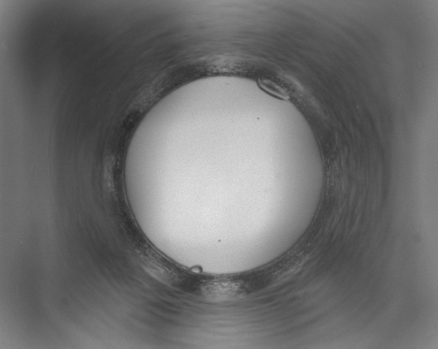 X0000075370217200610061821