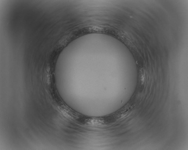 X0000075370223200610061821