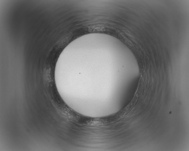 X0000075370224200610061821